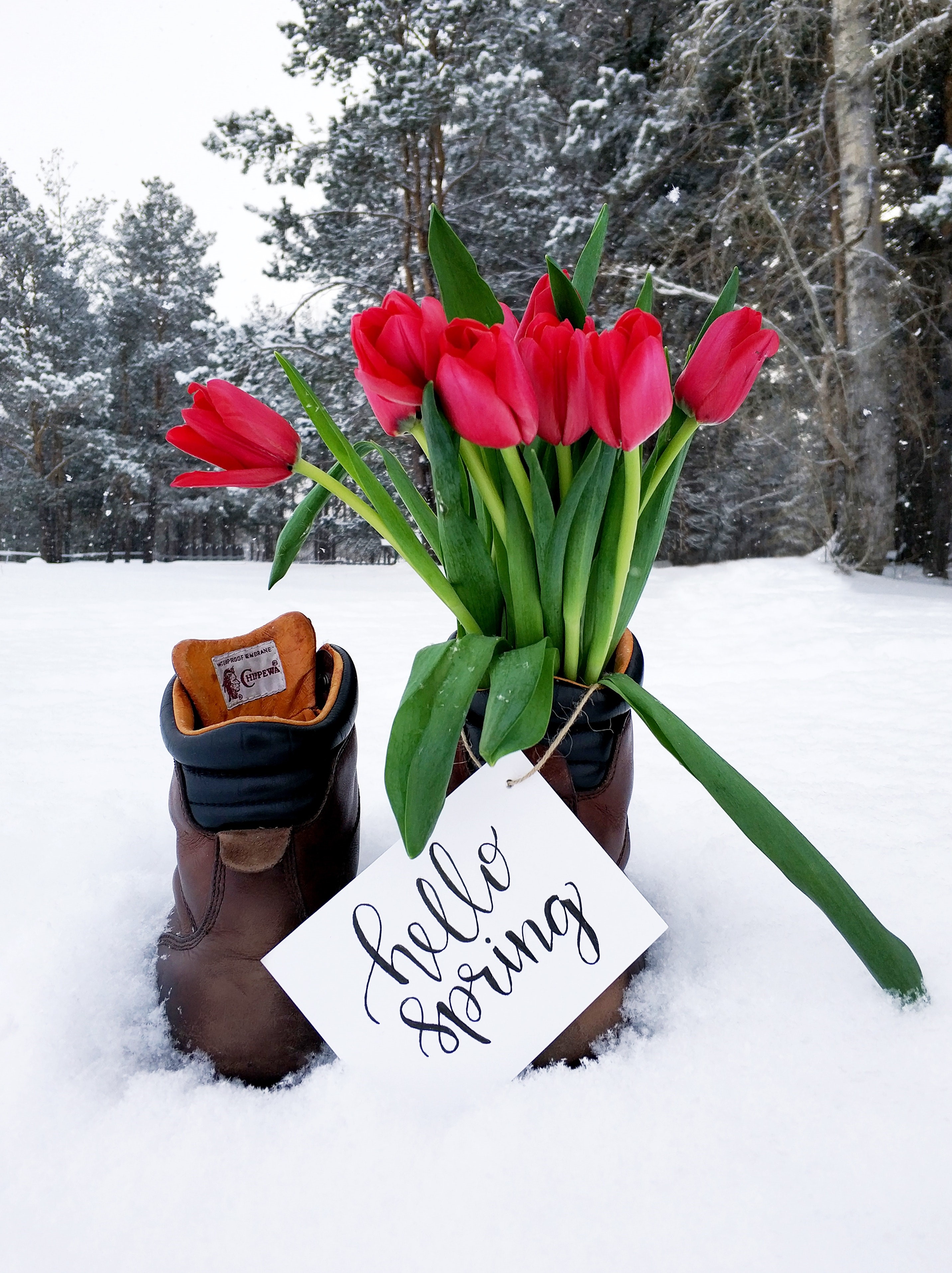 Spring Is Almost Here