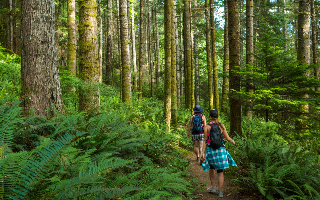 Hiking in Harrison Hot Springs