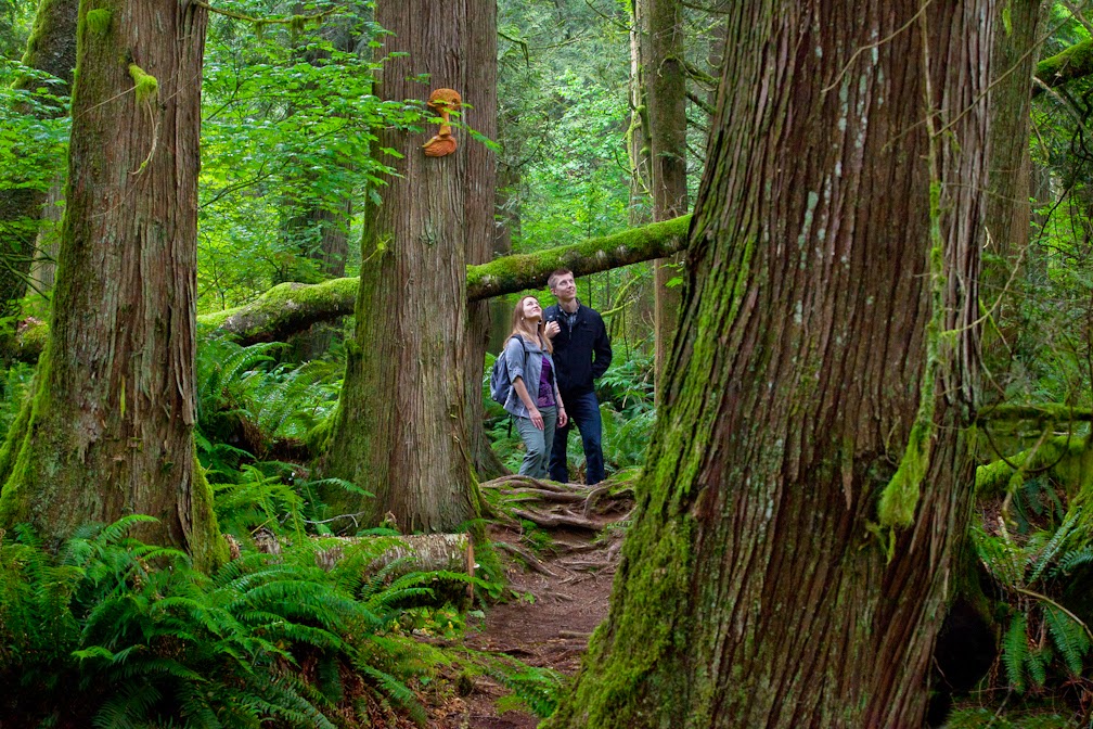 Start Dreaming of your Next Getaway